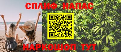 индика Кингисепп