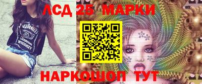 индика Кингисепп