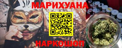 индика Кингисепп