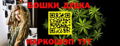 индика Кингисепп