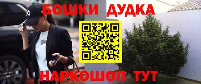индика Кингисепп