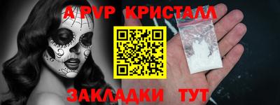 индика Кингисепп