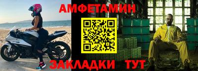 индика Кингисепп