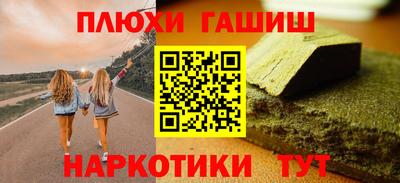 индика Кингисепп