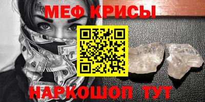 индика Кингисепп